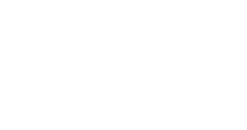 logo flare