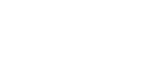 logo neo financial
