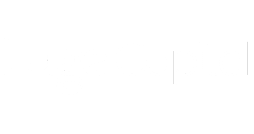 logo white luge capital